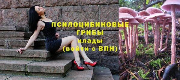 мяу мяу кристалл Арсеньев
